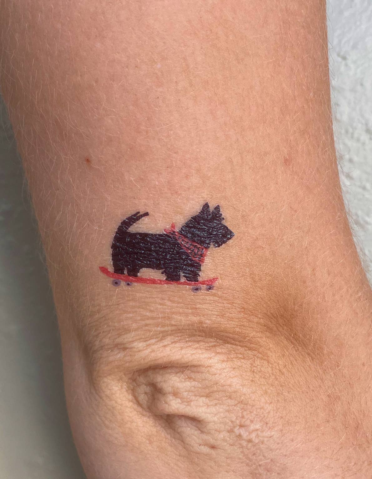 Skating Dogs Temporary Tattoo