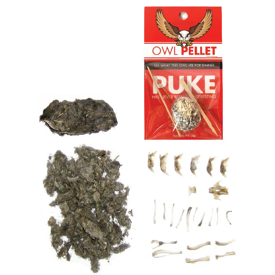 Owl Pellet | Compact Curiosities Dissection Kit Science Demo