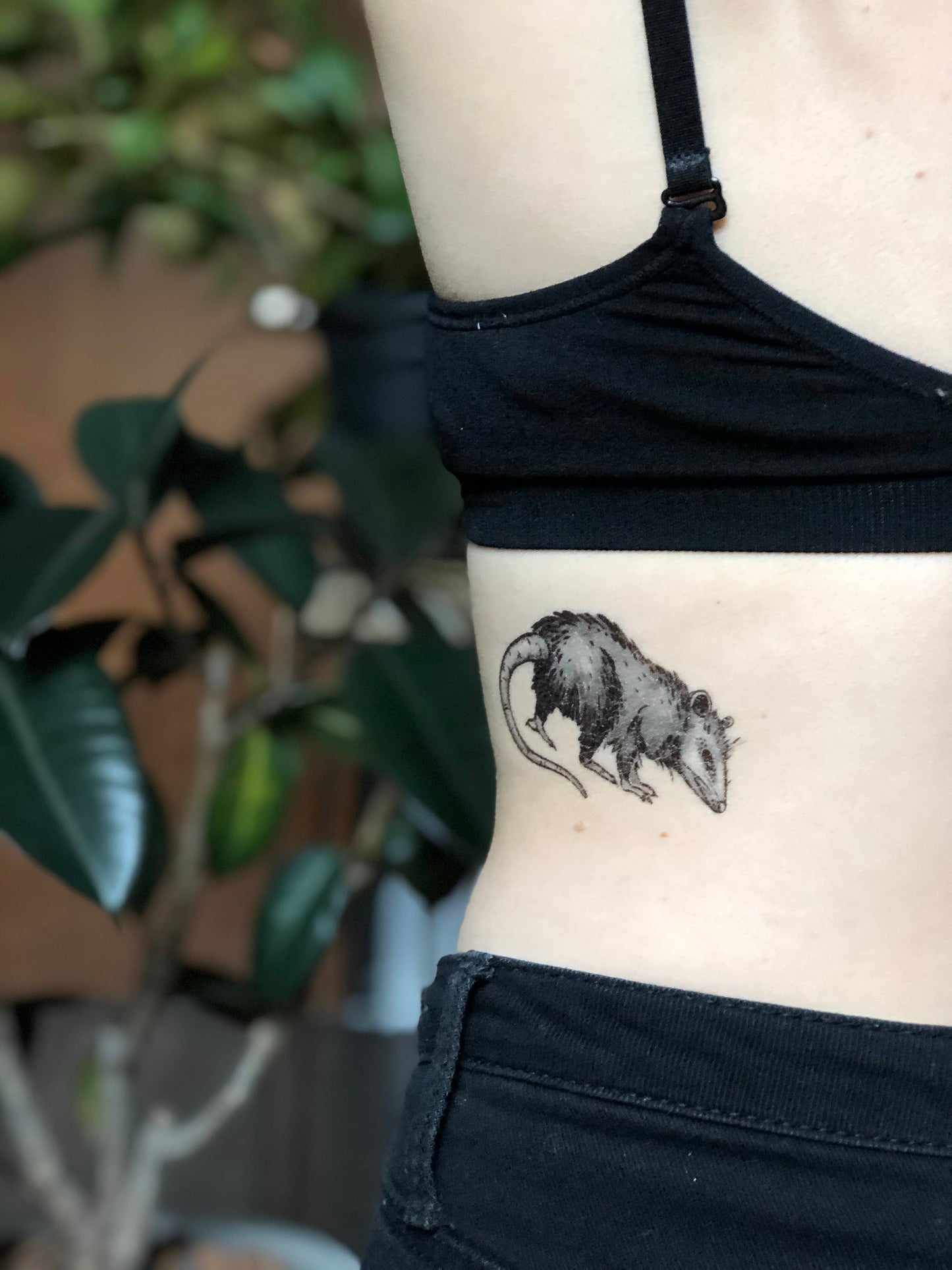 Opossum Temporary Tattoo