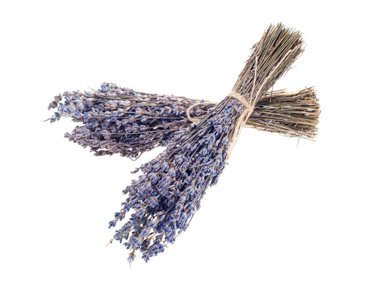 Dried French Lavender Bundle