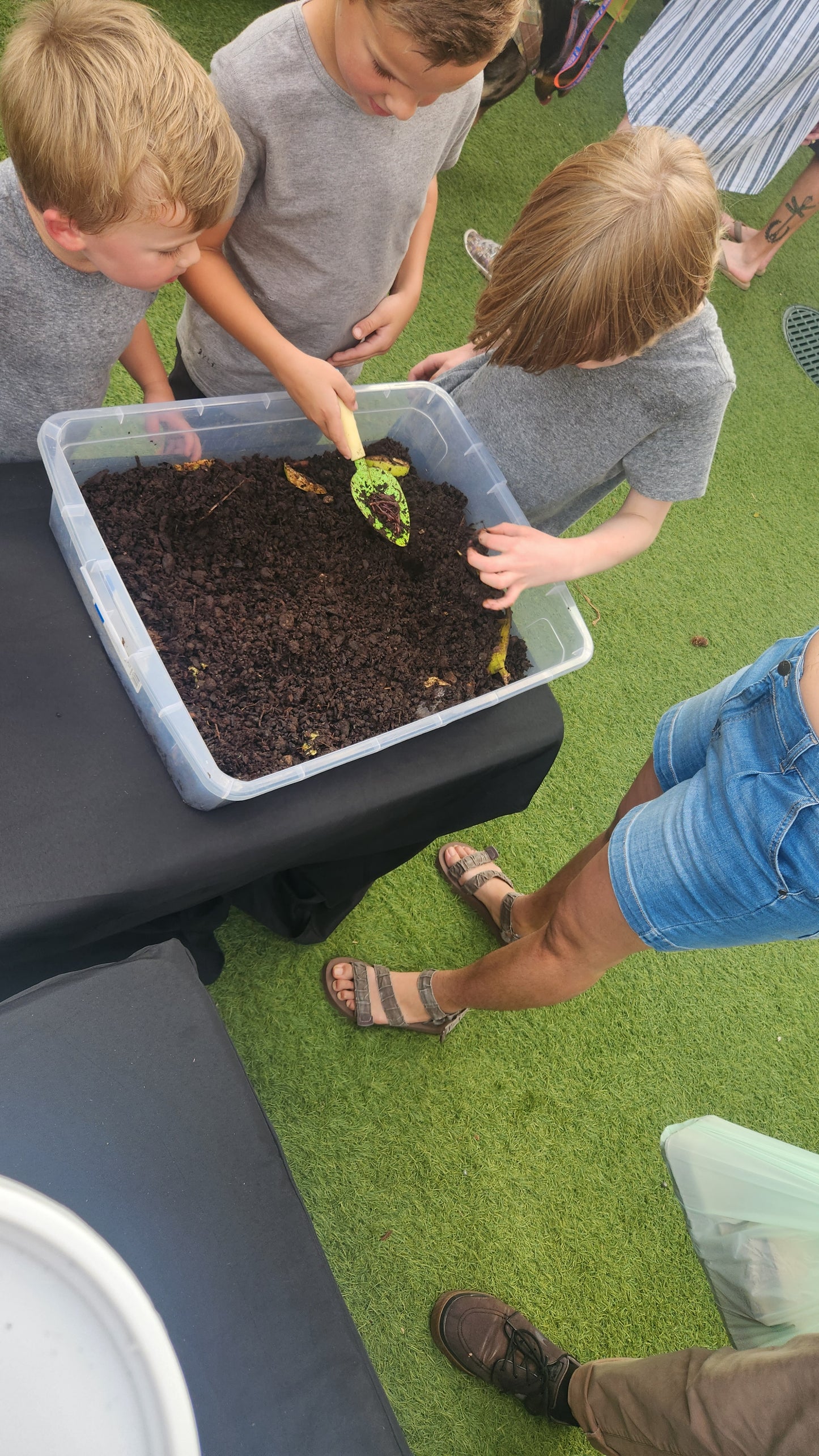 Worm Wonders: Composting for Kids March 16th 11:30-1:30