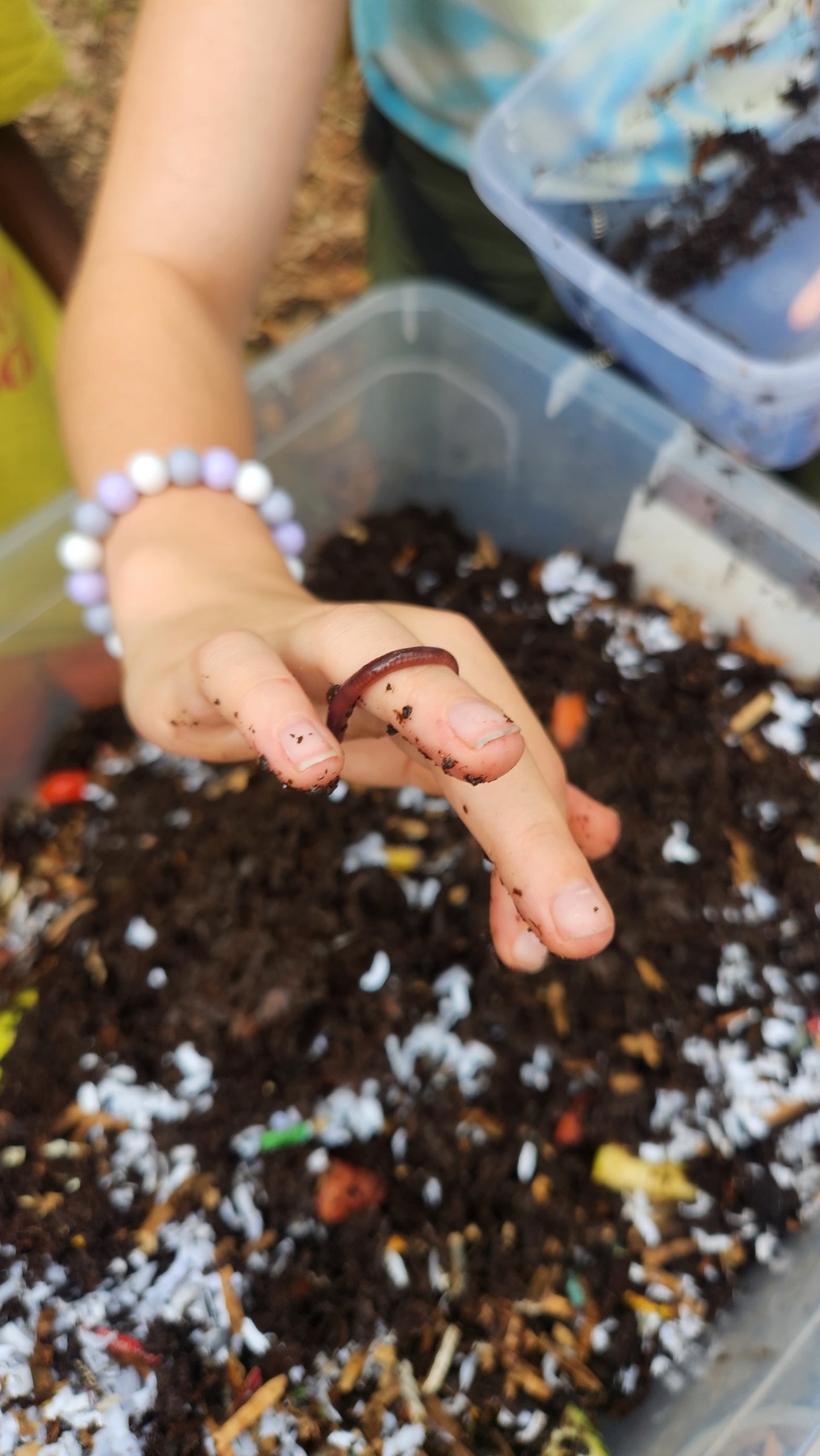 Worm Wonders: Composting for Kids March 16th 11:30-1:30