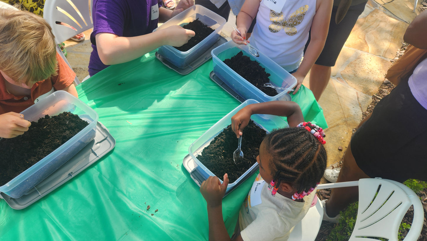 Worm Wonders: Composting for Kids March 16th 11:30-1:30