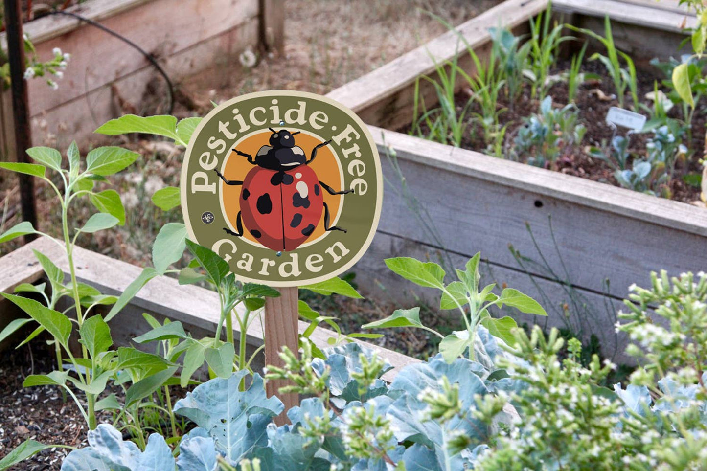 Ladybug Pesticide Free - Garden Sign