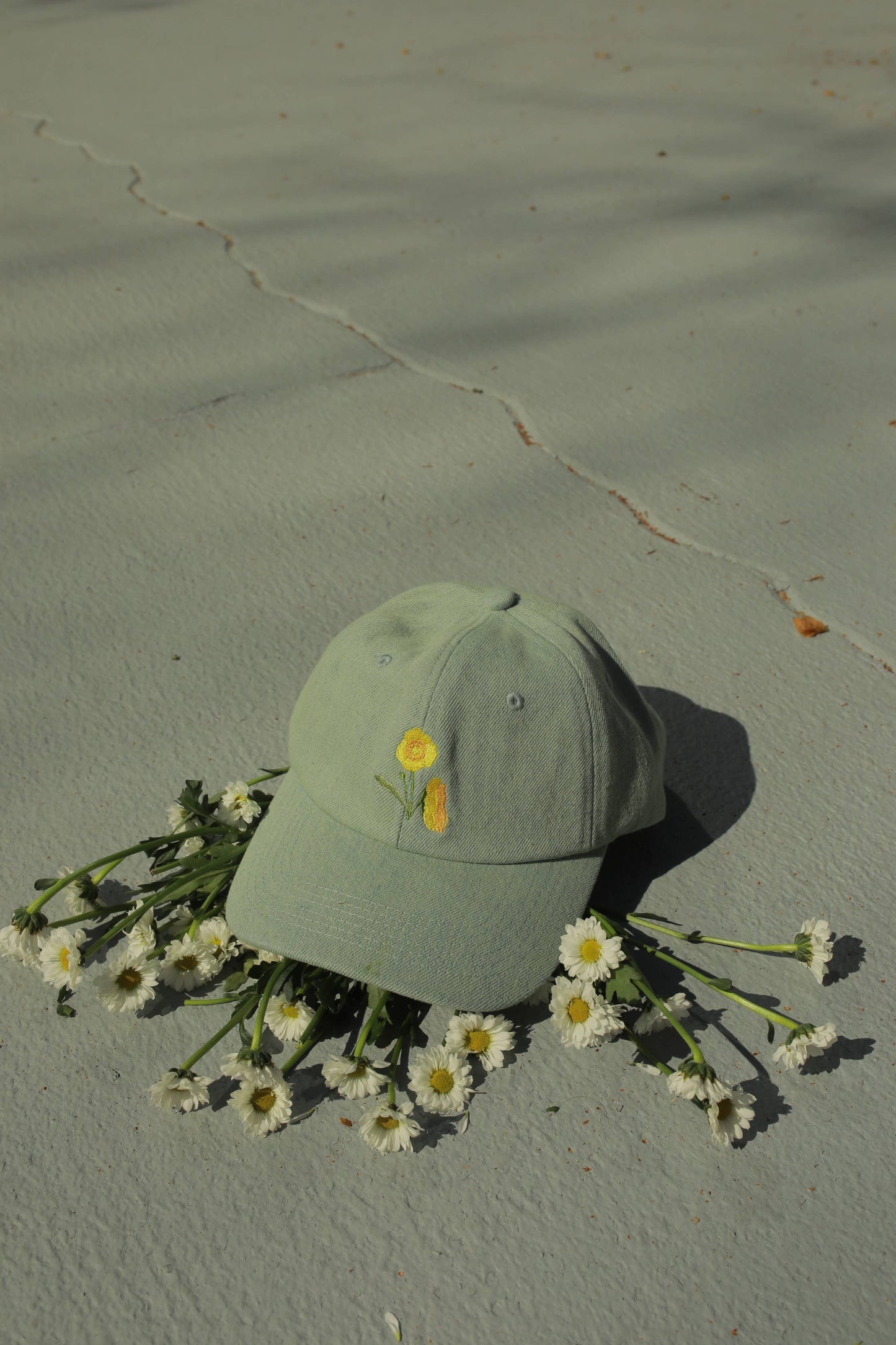 6 Panel Hat - Buttercup