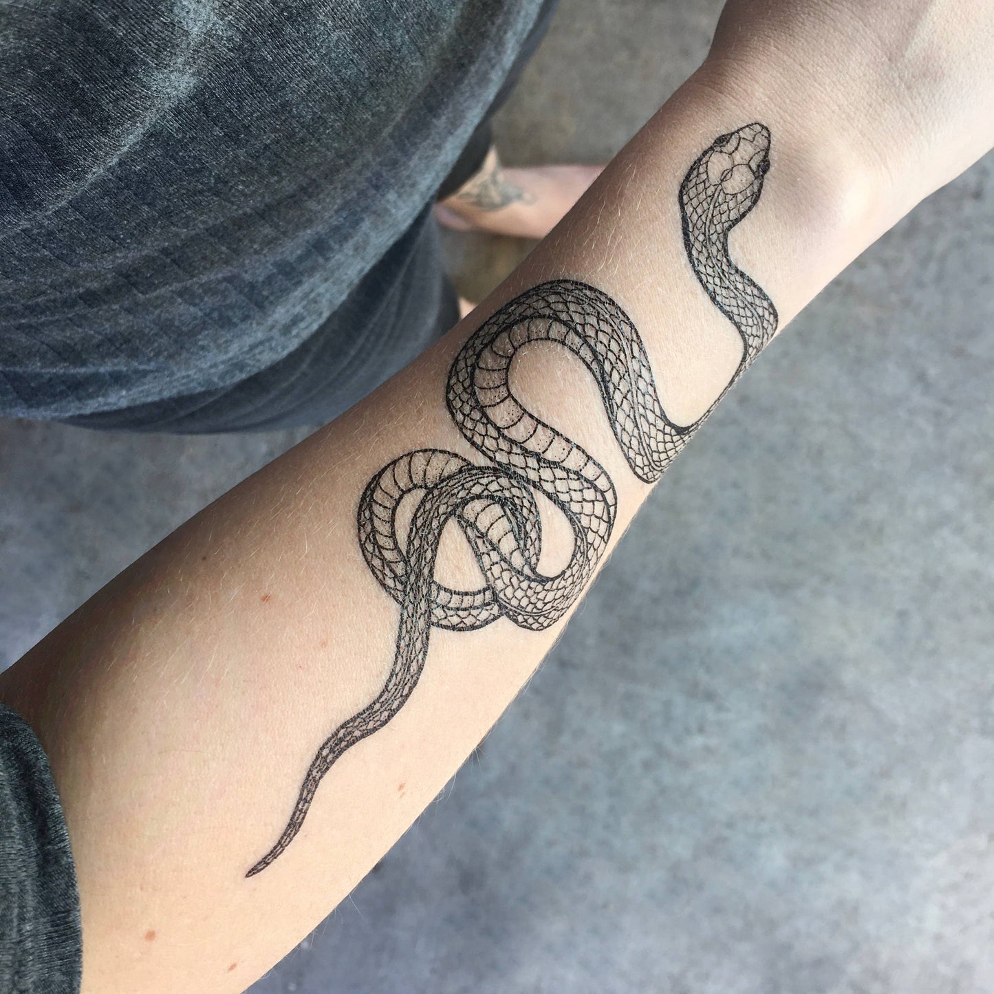 Garden Snake Temporary Tattoo