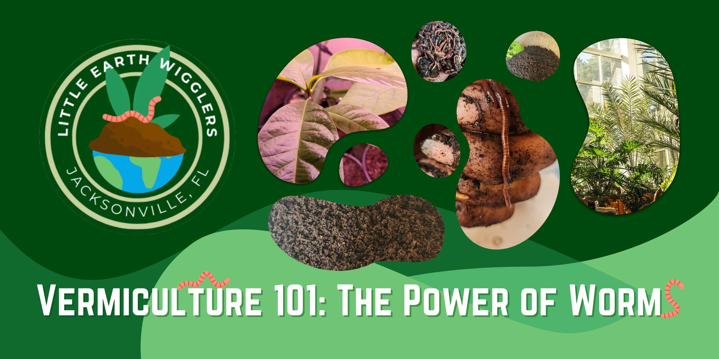 Vermiculture 101: The Power of Worms March 16th 2:00-4:00