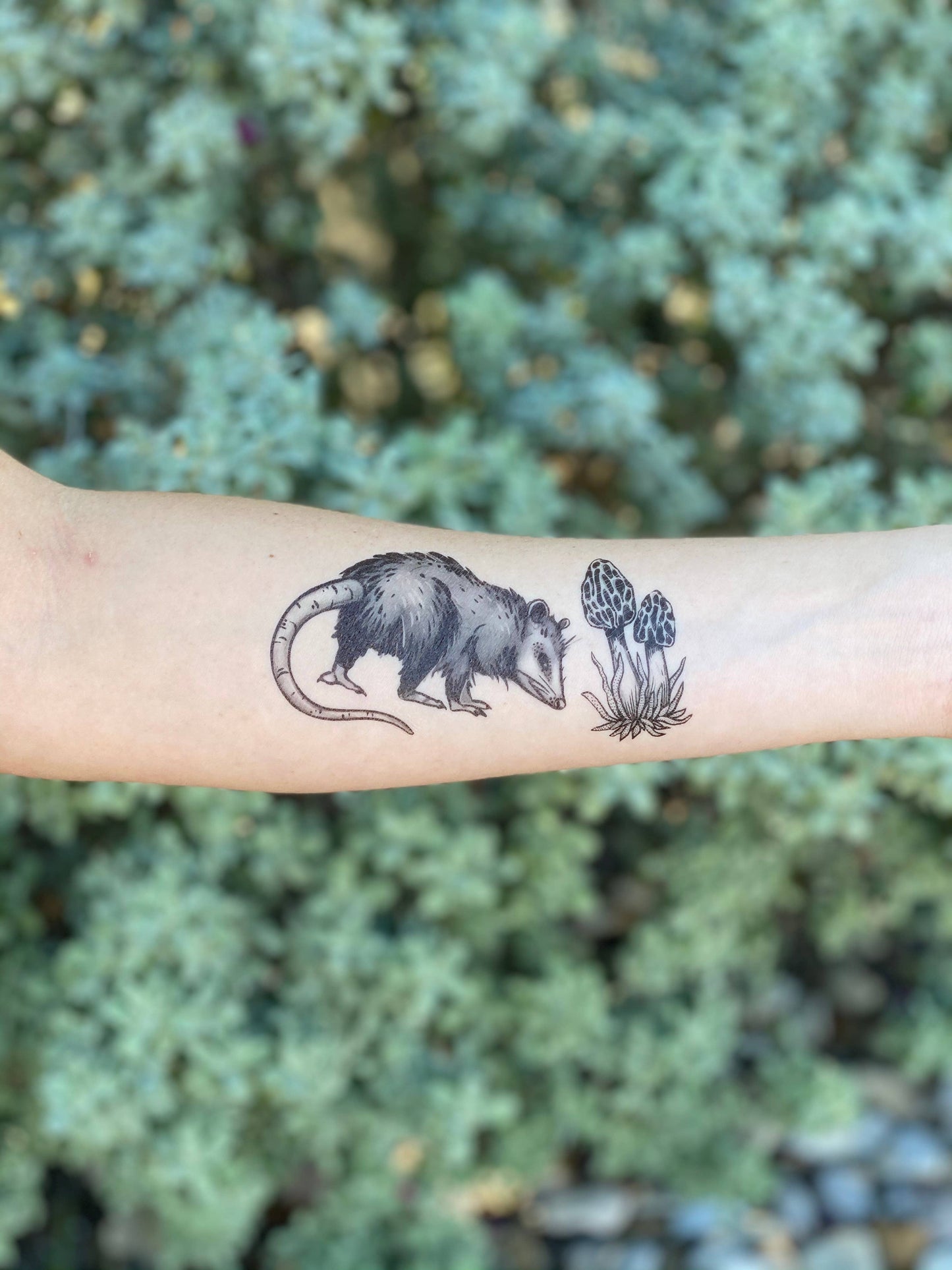 Opossum Temporary Tattoo