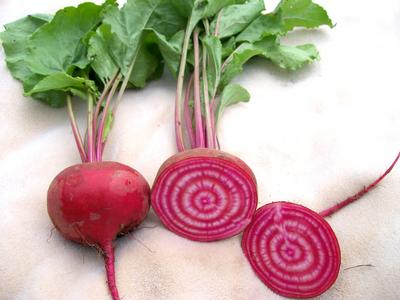 Chioggia Beet