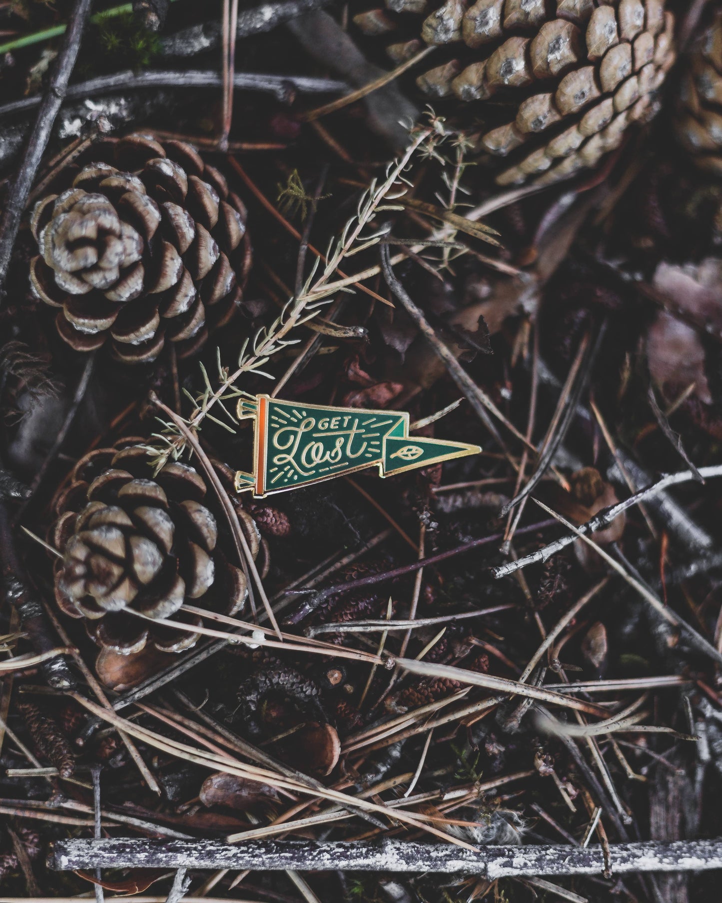 Get Lost Pennant Pin