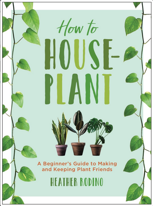 How to Houseplant: A Beginner's Guide