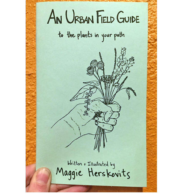 Urban Field Guide to the Plants in Your Path (Zine)