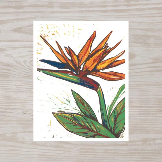 Bird of Paradise Kristina Hoover Print