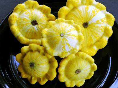 Golden Bush Scallop Summer Squash